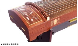 玩转天龙sf官网(天龙官网)