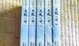天龙 八部(天龙八部超变)